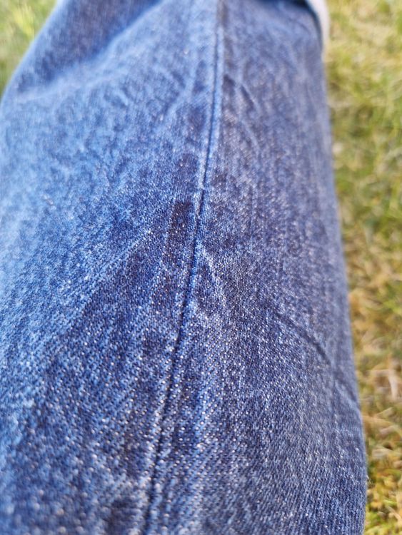 20250509_185120.jpg