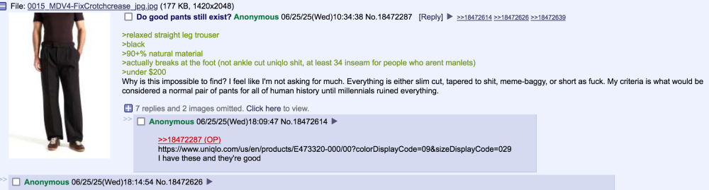 Screenshot2025-06-25at18-31-10_fa_-Fashion-4chan.thumb.png.9bbbcc98daeb8d8182671c4de629ad78.png