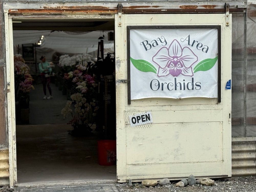 1.Orchidsshop.thumb.jpg.e0c5b223de8b1ac6764c3130be33ae6e.jpg