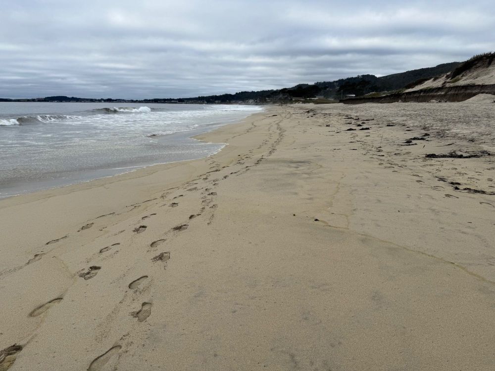 4.Beachscape2.thumb.jpg.2f1ced134336ab3d277ad80fc4120402.jpg