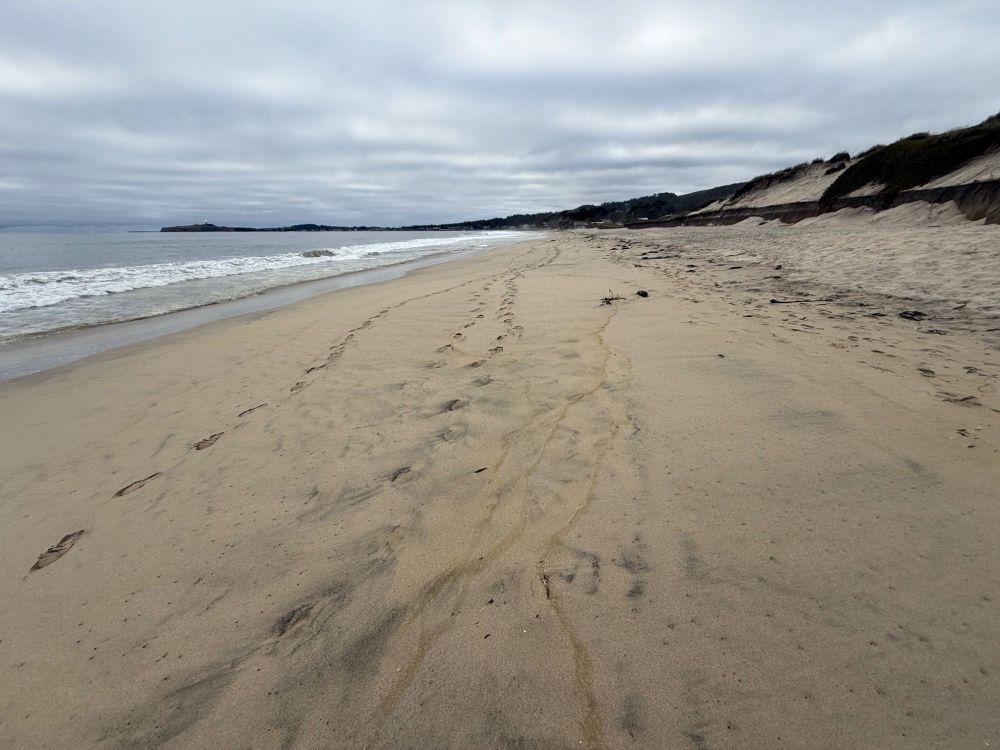 z Beachscape.jpg