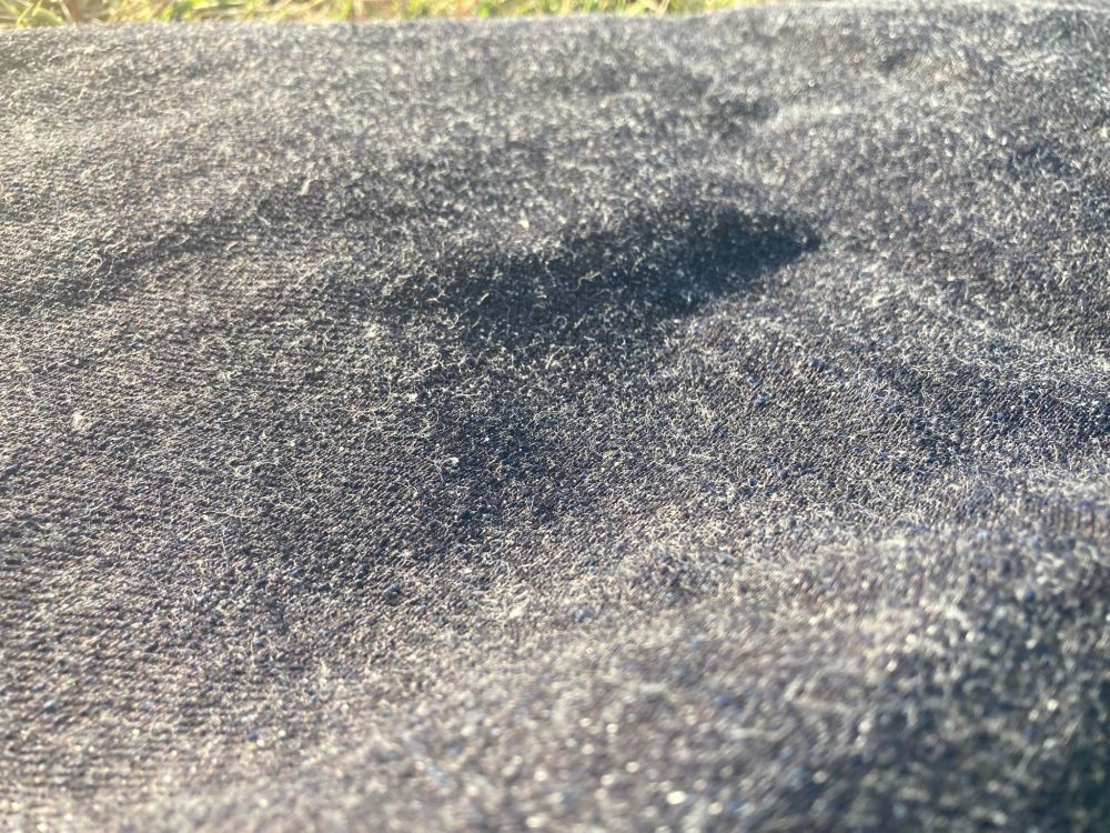 IMG_3016.JPEG